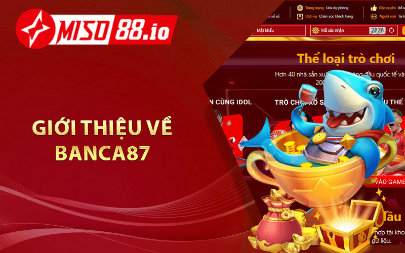 Giới thiệu về Banca87