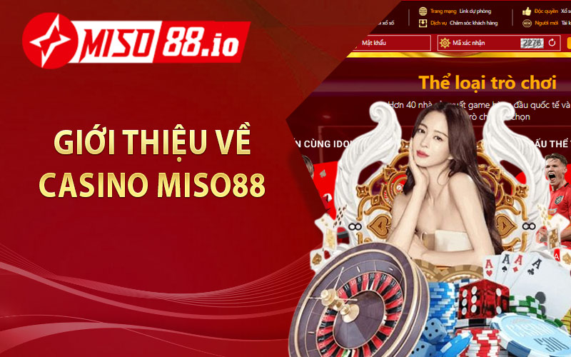 Giới thiệu về Casino Miso88