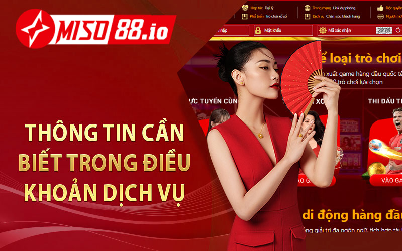 Thông tin cần biết trong điều khoản dịch vụ