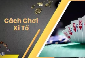Khám Phá Trò Chơi Xì Tố Hấp Dẫn Tại Miso88 Ngay Hôm Nay